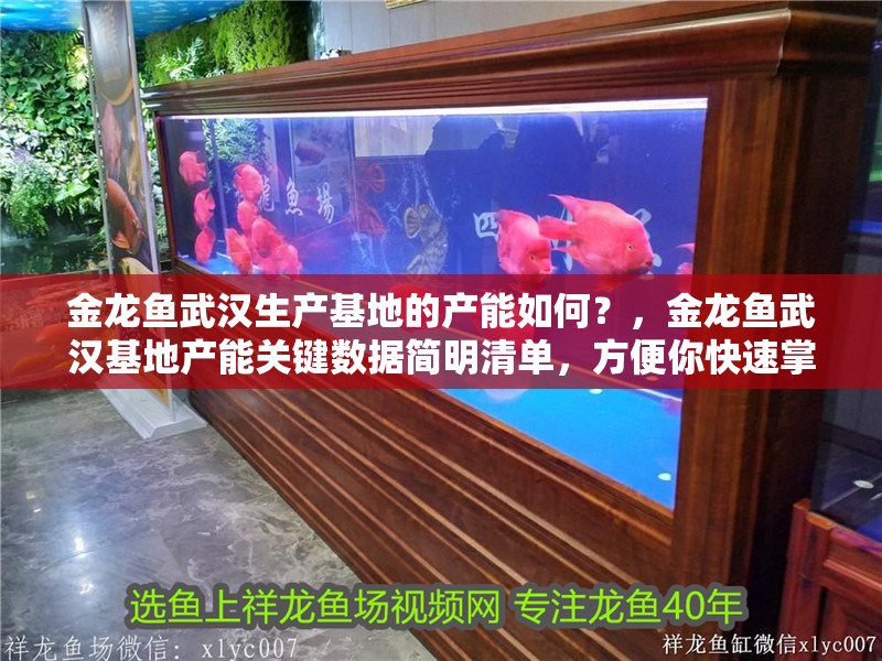 金龍魚武漢生產基地的產能如何？，金龍魚武漢基地產能關鍵數據簡明清單，方便你快速掌握核心信息
