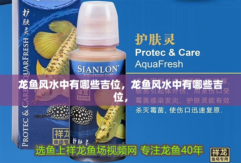 龍魚風水中有哪些吉位，龍魚風水中有哪些吉位，