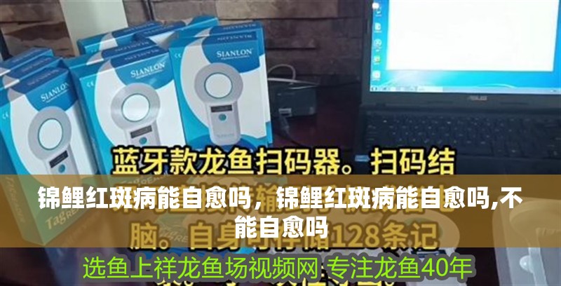 錦鯉紅斑病能自愈嗎，錦鯉紅斑病能自愈嗎,不能自愈嗎