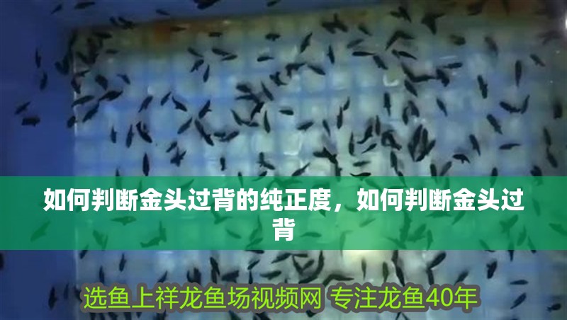 華藝國際拍賣有限公司的詳細背景，華藝國際拍賣有限公司