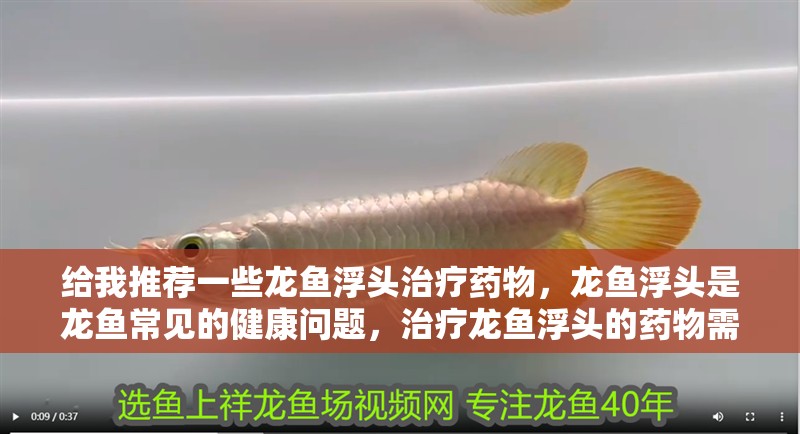 給我推薦一些龍魚浮頭治療藥物，龍魚浮頭是龍魚常見的健康問題，治療龍魚浮頭的藥物需謹慎選擇