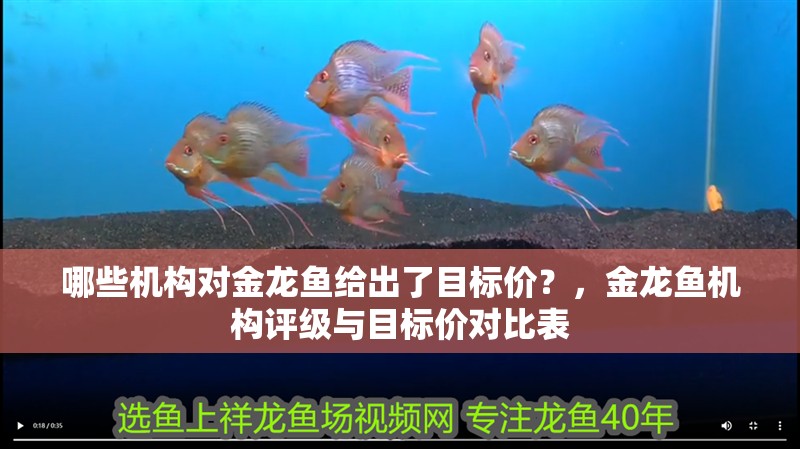 哪些機構對金龍魚給出了目標價？，金龍魚機構評級與目標價對比表