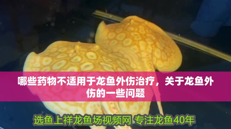 哪些藥物不適用于龍魚外傷治療，關于龍魚外傷的一些問題 哪些藥物不適用于龍魚外傷治療，關于龍魚外傷的一些問題 龍魚百科