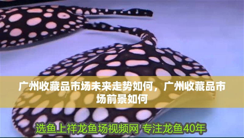 廣州收藏品市場未來走勢如何，廣州收藏品市場前景如何 廣州收藏品市場未來走勢如何，廣州收藏品市場前景如何 龍魚百科