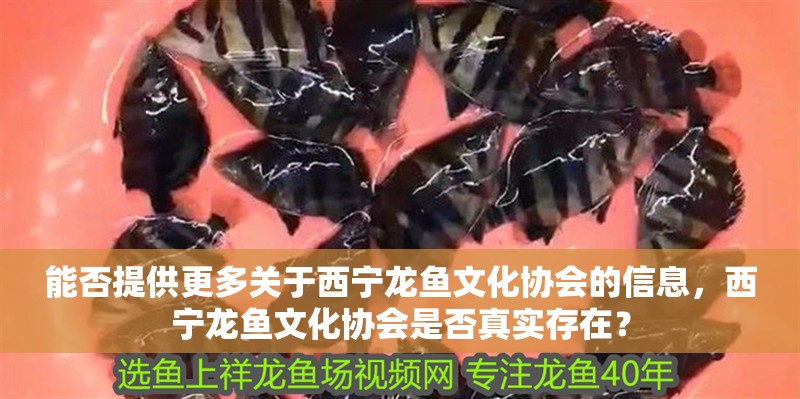 能否提供更多關于西寧龍魚文化協會的信息，西寧龍魚文化協會是否真實存在？ 能否提供更多關于西寧龍魚文化協會的信息，西寧龍魚文化協會是否真實存在？ 龍魚百科