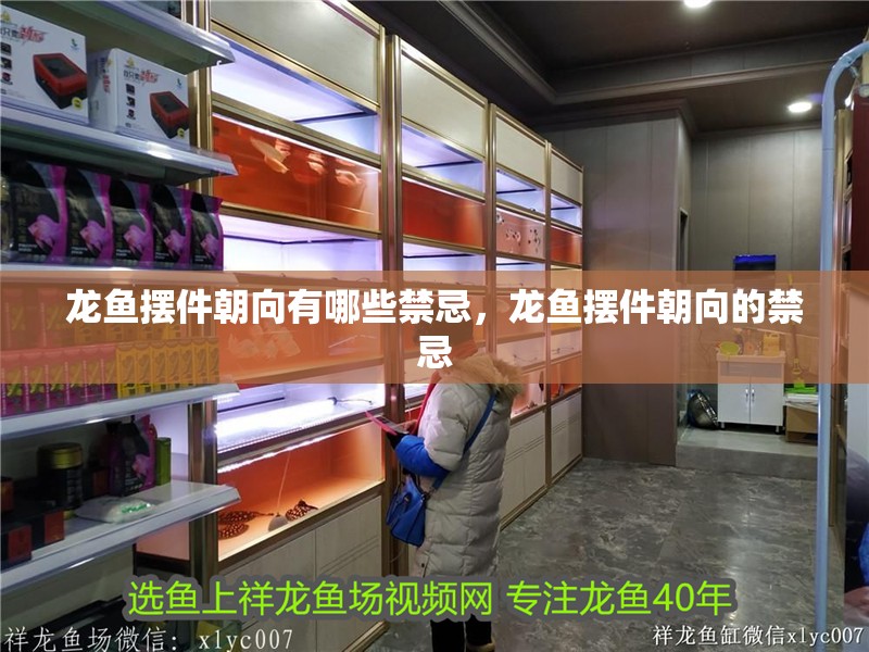 鸚鵡魚和銀龍魚混養怎樣喂食 龍魚擺件朝向有哪些禁忌,龍魚擺件朝向的禁忌 龍魚百科 龍魚擺件朝向有哪些禁忌,龍魚擺件朝向的禁忌 龍魚擺件朝向有哪些禁忌,龍魚擺件朝向的禁忌 龍魚百科