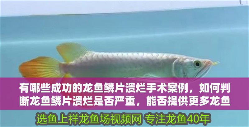 有哪些成功的龍魚鱗片潰爛手術案例，如何判斷龍魚鱗片潰爛是否嚴重，能否提供更多龍魚鱗片潰爛手術案例 有哪些成功的龍魚鱗片潰爛手術案例，如何判斷龍魚鱗片潰爛是否嚴重，能否提供更多龍魚鱗片潰爛手術案例 龍魚百科