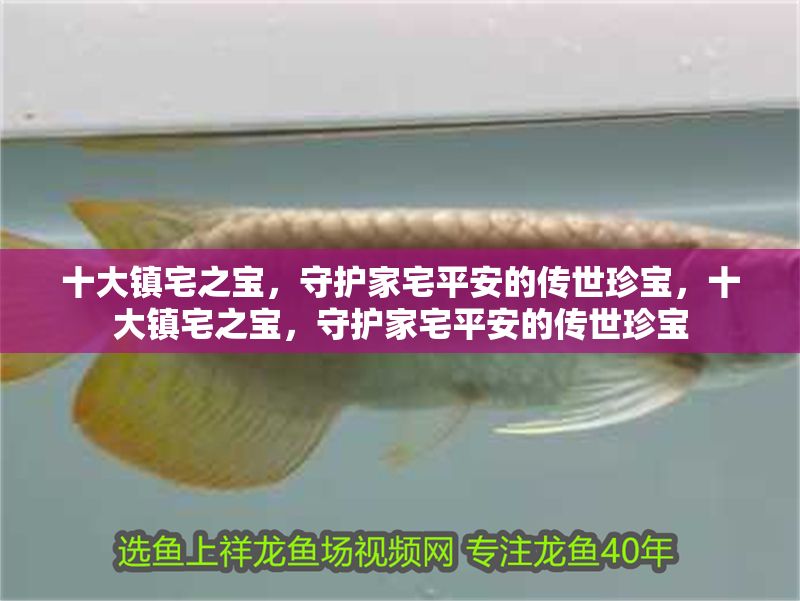 十大鎮宅之寶，守護家宅平安的傳世珍寶，十大鎮宅之寶，守護家宅平安的傳世珍寶 十大鎮宅之寶，守護家宅平安的傳世珍寶，十大鎮宅之寶，守護家宅平安的傳世珍寶 龍魚百科 第1張