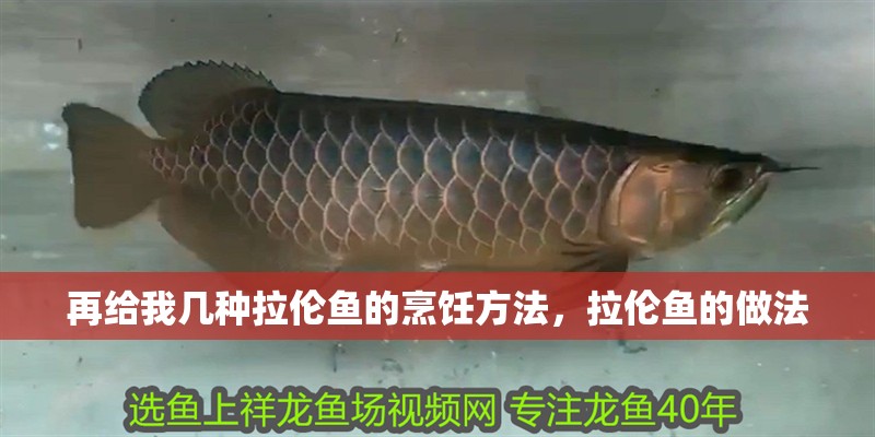 再給我?guī)追N拉倫魚的烹飪方法，拉倫魚的做法 再給我?guī)追N拉倫魚的烹飪方法，拉倫魚的做法 龍魚百科