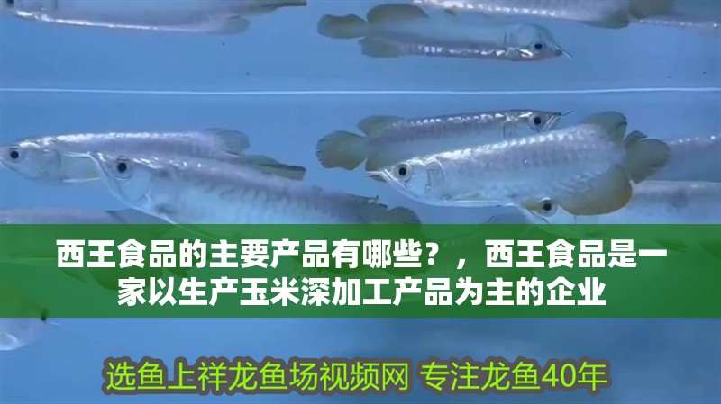 魚缸造景先放沙還是先放水(魚缸造景先鋪沙還是先放石頭) 西王食品的主要產品有哪些?,西王食品是一家以生產玉米深加工產品為主的企業 龍魚百科 西王食品的主要產品有哪些?,西王食品是一家以生產玉米深加工產品為主的企業 西王食品的主要產品有哪些?,西王食品是一家以生產玉米深加工產品為主的企業 龍魚百科