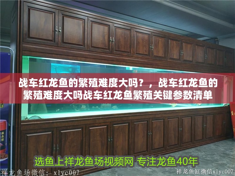 戰車紅龍魚的繁殖難度大嗎？，戰車紅龍魚的繁殖難度大嗎戰車紅龍魚繁殖關鍵參數清單 戰車紅龍魚的繁殖難度大嗎？，戰車紅龍魚的繁殖難度大嗎戰車紅龍魚繁殖關鍵參數清單 龍魚百科