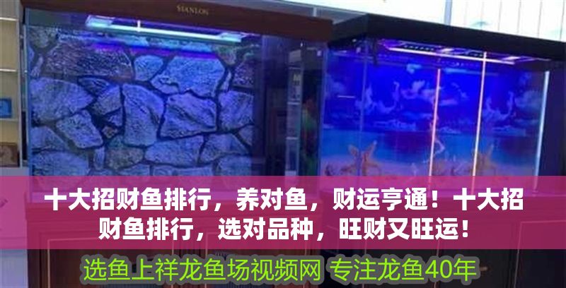 十大招財魚排行，養對魚，財運亨通！十大招財魚排行，選對品種，旺財又旺運！
