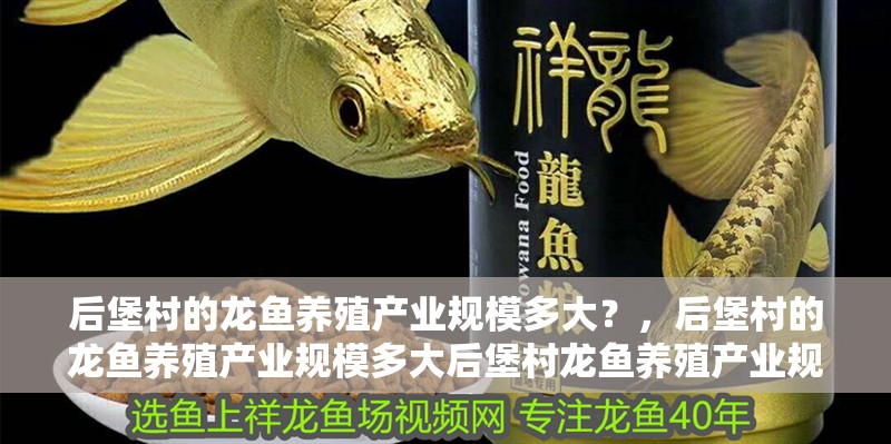 魚缸過濾器選購指南:自制魚缸過濾器魚缸上置過濾器對于養魚愛好者的必備知識 后堡村的龍魚養殖產業規模多大?,后堡村的龍魚養殖產業規模多大后堡村龍魚養殖產業規模多大 龍魚百科 后堡村的龍魚養殖產業規模多大?,后堡村的龍魚養殖產業規模多大后堡村龍魚養殖產業規模多大 后堡村的龍魚養殖產業規模多大?,后堡村的龍魚養殖產業規模多大后堡村龍魚養殖產業規模多大 龍魚百科