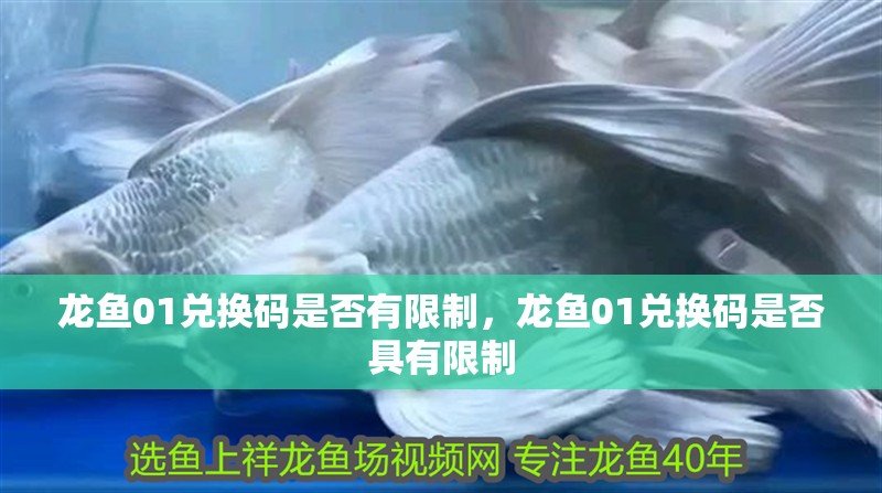 魚缸過濾器選購指南:自制魚缸過濾器魚缸上置過濾器對于養(yǎng)魚愛好者的必備知識 龍魚01兌換碼是否有限制,龍魚01兌換碼是否具有限制 龍魚百科 龍魚01兌換碼是否有限制,龍魚01兌換碼是否具有限制 龍魚01兌換碼是否有限制,龍魚01兌換碼是否具有限制 龍魚百科
