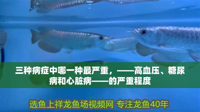 三種病癥中哪一種最嚴重，——高血壓、糖尿病和心臟病——的嚴重程度 三種病癥中哪一種最嚴重，——高血壓、糖尿病和心臟病——的嚴重程度 龍魚百科