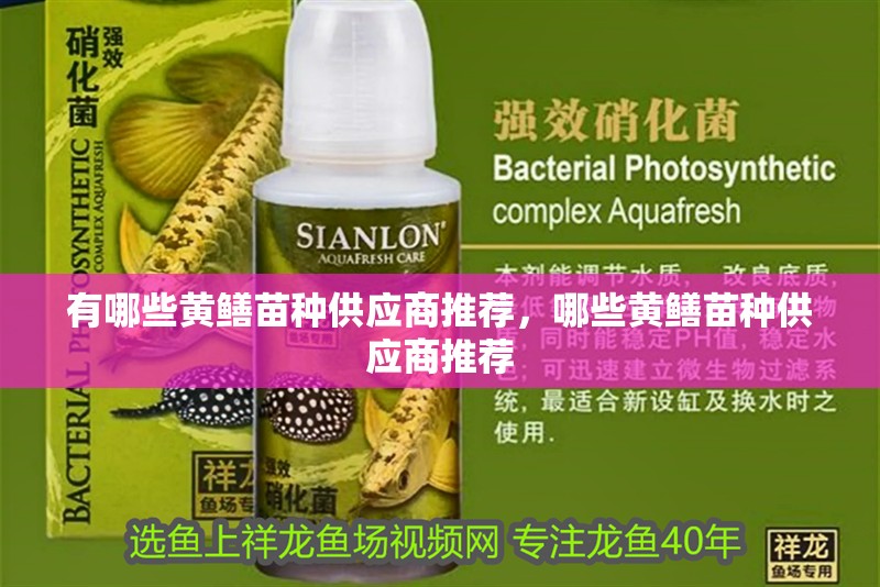 魚缸造景先放沙還是先放水(魚缸造景先鋪沙還是先放石頭) 有哪些黃鱔苗種供應商推薦,哪些黃鱔苗種供應商推薦 龍魚百科 有哪些黃鱔苗種供應商推薦,哪些黃鱔苗種供應商推薦 有哪些黃鱔苗種供應商推薦,哪些黃鱔苗種供應商推薦 龍魚百科