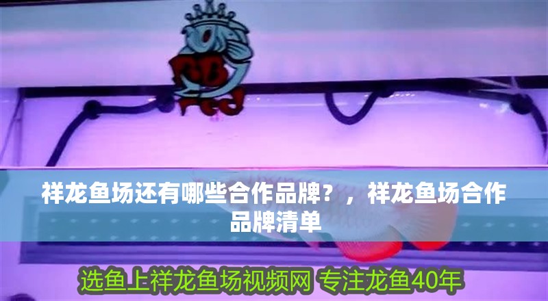 祥龍魚場還有哪些合作品牌？，祥龍魚場合作品牌清單 祥龍魚場還有哪些合作品牌？，祥龍魚場合作品牌清單 龍魚百科