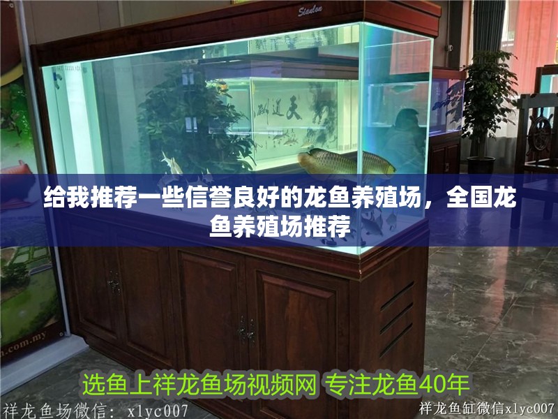 魚缸過濾器選購指南:自制魚缸過濾器魚缸上置過濾器對于養魚愛好者的必備知識 給我推薦一些信譽良好的龍魚養殖場,全國龍魚養殖場推薦 龍魚百科 給我推薦一些信譽良好的龍魚養殖場,全國龍魚養殖場推薦 給我推薦一些信譽良好的龍魚養殖場,全國龍魚養殖場推薦 龍魚百科