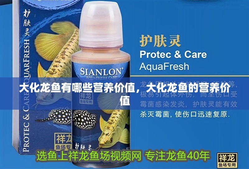 大化龍魚有哪些營養(yǎng)價值，大化龍魚的營養(yǎng)價值 大化龍魚有哪些營養(yǎng)價值，大化龍魚的營養(yǎng)價值 龍魚百科