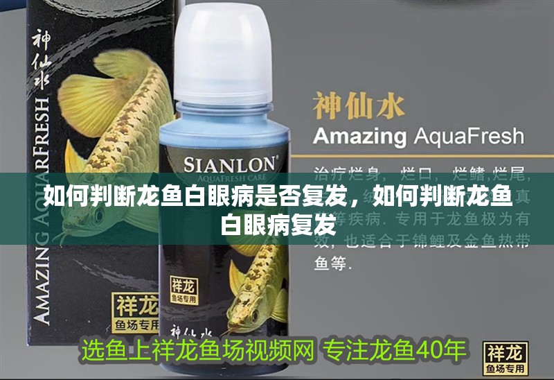 魚缸用增氧泵價格是多少:魚缸增氧機-xtrac增氧機-xtrac增氧機 如何判斷龍魚白眼病是否復發,如何判斷龍魚白眼病復發 龍魚百科 如何判斷龍魚白眼病是否復發,如何判斷龍魚白眼病復發 如何判斷龍魚白眼病是否復發,如何判斷龍魚白眼病復發 龍魚百科