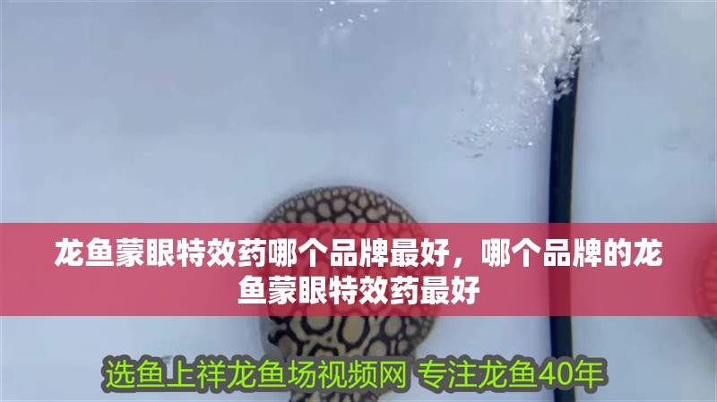 龍魚蒙眼特效藥哪個品牌最好，哪個品牌的龍魚蒙眼特效藥最好 龍魚蒙眼特效藥哪個品牌最好，哪個品牌的龍魚蒙眼特效藥最好 龍魚百科