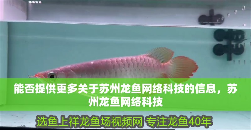 能否提供更多關于蘇州龍魚網絡科技的信息，蘇州龍魚網絡科技 能否提供更多關于蘇州龍魚網絡科技的信息，蘇州龍魚網絡科技 龍魚百科