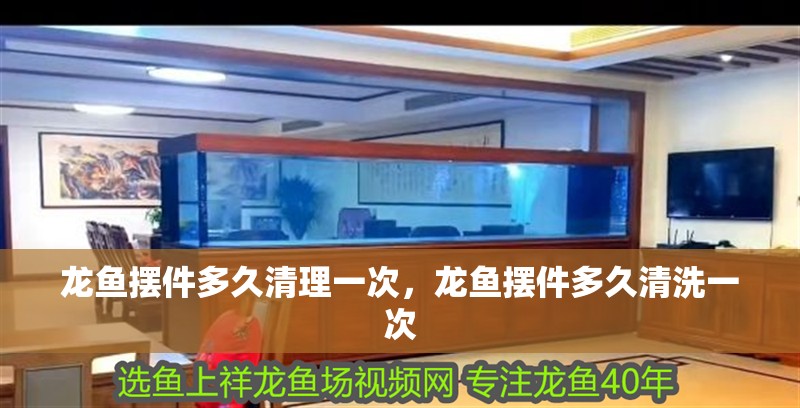 給大魚缸換水的作文:體驗(yàn)給大魚缸換水的樂趣:體驗(yàn)給大魚缸換水:給大魚缸換水的作文 龍魚擺件多久清理一次,龍魚擺件多久清洗一次 龍魚百科 龍魚擺件多久清理一次,龍魚擺件多久清洗一次 龍魚擺件多久清理一次,龍魚擺件多久清洗一次 龍魚百科