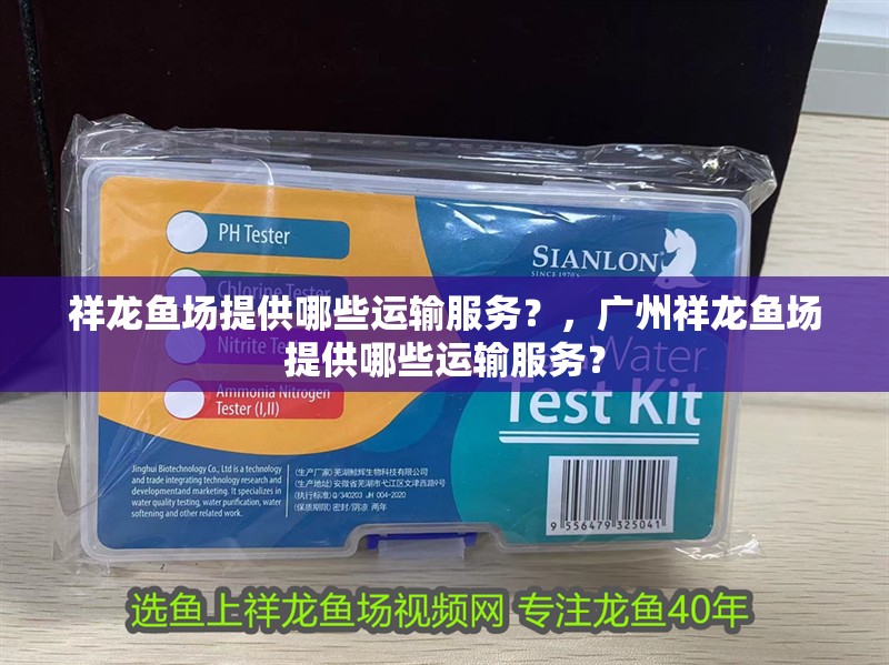 魚缸過濾器選購指南:自制魚缸過濾器魚缸上置過濾器對于養(yǎng)魚愛好者的必備知識 祥龍魚場提供哪些運輸服務(wù)?,廣州祥龍魚場提供哪些運輸服務(wù)? 龍魚百科 祥龍魚場提供哪些運輸服務(wù)?,廣州祥龍魚場提供哪些運輸服務(wù)? 祥龍魚場提供哪些運輸服務(wù)?,廣州祥龍魚場提供哪些運輸服務(wù)? 龍魚百科