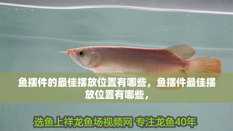 魚擺件的最佳擺放位置有哪些，魚擺件最佳擺放位置有哪些， 魚擺件的最佳擺放位置有哪些，魚擺件最佳擺放位置有哪些， 龍魚百科
