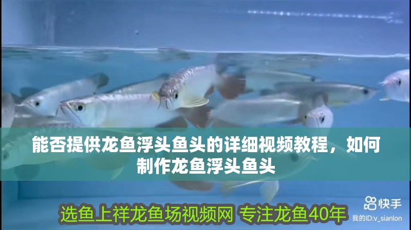 龍魚干蝦有營養嗎 能否提供龍魚浮頭魚頭的詳細視頻教程,如何制作龍魚浮頭魚頭 龍魚百科 能否提供龍魚浮頭魚頭的詳細視頻教程,如何制作龍魚浮頭魚頭 能否提供龍魚浮頭魚頭的詳細視頻教程,如何制作龍魚浮頭魚頭 龍魚百科