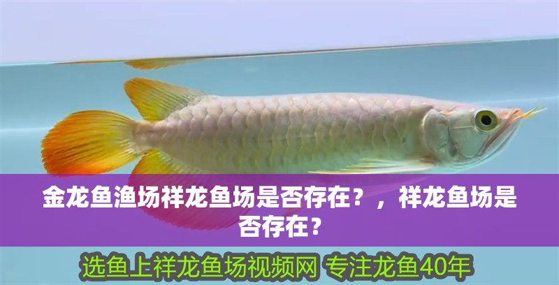 金龍魚漁場祥龍魚場是否存在？，祥龍魚場是否存在？ 金龍魚漁場祥龍魚場是否存在？，祥龍魚場是否存在？ 龍魚百科