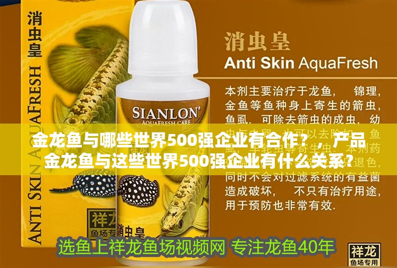 金龍魚與哪些世界500強企業有合作？，產品金龍魚與這些世界500強企業有什么關系？ 金龍魚與哪些世界500強企業有合作？，產品金龍魚與這些世界500強企業有什么關系？ 龍魚百科