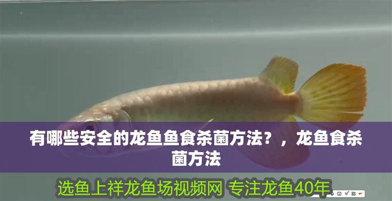 有哪些安全的龍魚魚食殺菌方法？，龍魚食殺菌方法 有哪些安全的龍魚魚食殺菌方法？，龍魚食殺菌方法 龍魚百科