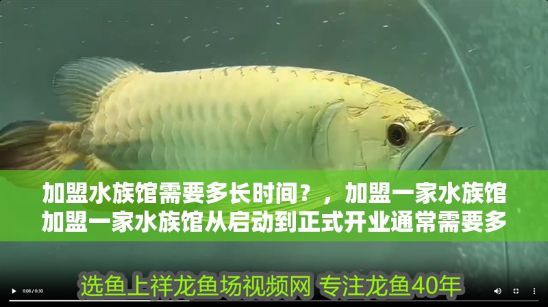 加盟水族館需要多長(zhǎng)時(shí)間？，加盟一家水族館加盟一家水族館從啟動(dòng)到正式開業(yè)通常需要多長(zhǎng)時(shí)間 加盟水族館需要多長(zhǎng)時(shí)間？，加盟一家水族館加盟一家水族館從啟動(dòng)到正式開業(yè)通常需要多長(zhǎng)時(shí)間 龍魚百科