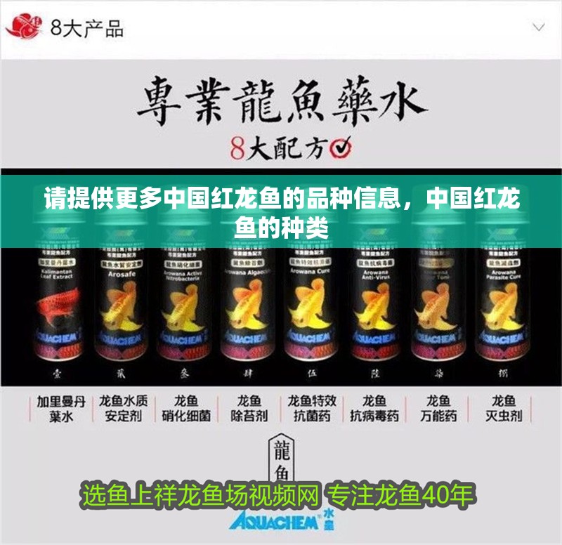 請?zhí)峁└嘀袊t龍魚的品種信息，中國紅龍魚的種類 請?zhí)峁└嘀袊t龍魚的品種信息，中國紅龍魚的種類 龍魚百科
