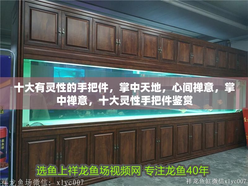 十大有靈性的手把件，掌中天地，心間禪意，掌中禪意，十大靈性手把件鑒賞