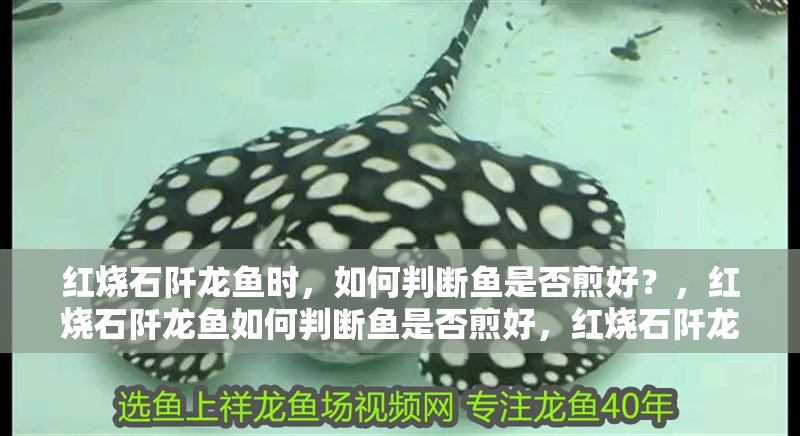 玻璃做魚缸怎么粘才牢固:如何自制玻璃魚缸 紅燒石阡龍魚時,如何判斷魚是否煎好?,紅燒石阡龍魚如何判斷魚是否煎好,紅燒石阡龍魚有哪些秘訣 龍魚百科 紅燒石阡龍魚時,如何判斷魚是否煎好?,紅燒石阡龍魚如何判斷魚是否煎好,紅燒石阡龍魚有哪些秘訣 紅燒石阡龍魚時,如何判斷魚是否煎好?,紅燒石阡龍魚如何判斷魚是否煎好,紅燒石阡龍魚有哪些秘訣 龍魚百科