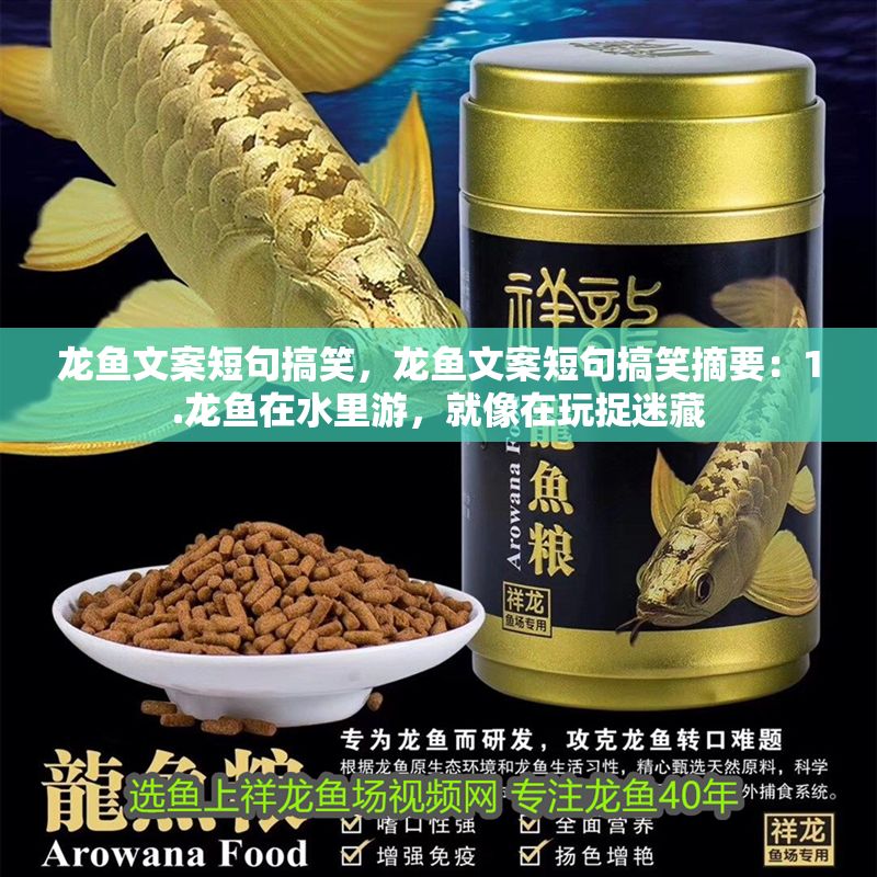 龍魚文案短句搞笑，龍魚文案短句搞笑摘要：1.龍魚在水里游，就像在玩捉迷藏