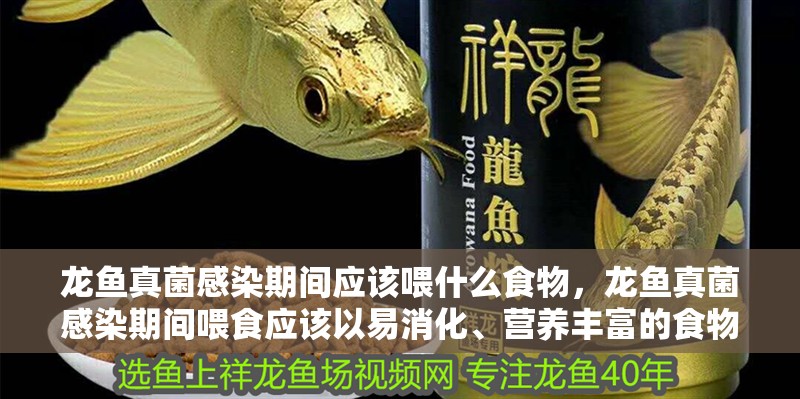 給大魚缸換水的作文:體驗給大魚缸換水的樂趣:體驗給大魚缸換水:給大魚缸換水的作文 龍魚真菌感染期間應該喂什么食物,龍魚真菌感染期間喂食應該以易消化、營養豐富的食物為主 龍魚百科 龍魚真菌感染期間應該喂什么食物,龍魚真菌感染期間喂食應該以易消化、營養豐富的食物為主 龍魚真菌感染期間應該喂什么食物,龍魚真菌感染期間喂食應該以易消化、營養豐富的食物為主 龍魚百科