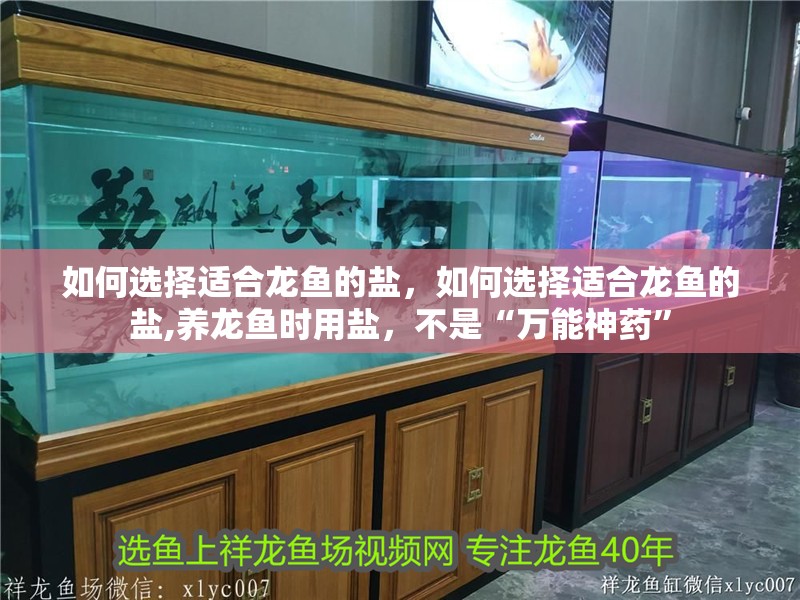 如何選擇適合龍魚的鹽，如何選擇適合龍魚的鹽,養龍魚時用鹽，不是“萬能神藥” 如何選擇適合龍魚的鹽，如何選擇適合龍魚的鹽,養龍魚時用鹽，不是“萬能神藥” 龍魚百科