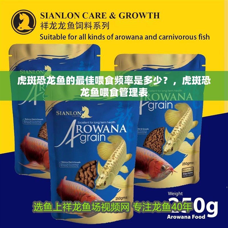 虎斑恐龍魚的最佳喂食頻率是多少？，虎斑恐龍魚喂食管理表 虎斑恐龍魚的最佳喂食頻率是多少？，虎斑恐龍魚喂食管理表 龍魚百科