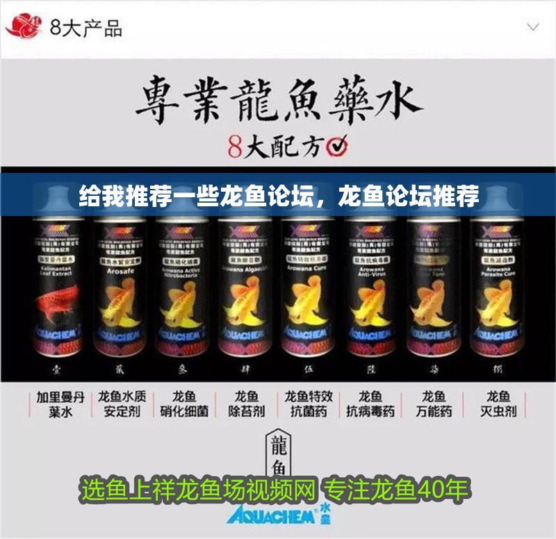 給我推薦一些龍魚論壇，龍魚論壇推薦 給我推薦一些龍魚論壇，龍魚論壇推薦 龍魚百科