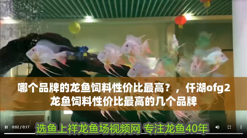 哪個品牌的龍魚飼料性價比最高？，仟湖ofg2龍魚飼料性價比最高的幾個品牌 哪個品牌的龍魚飼料性價比最高？，仟湖ofg2龍魚飼料性價比最高的幾個品牌 龍魚百科