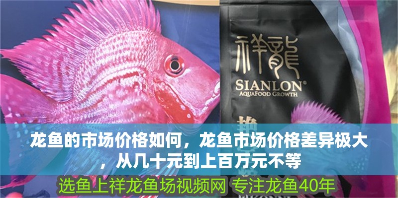 龍魚的市場價格如何，龍魚市場價格差異極大，從幾十元到上百萬元不等 龍魚的市場價格如何，龍魚市場價格差異極大，從幾十元到上百萬元不等 龍魚百科