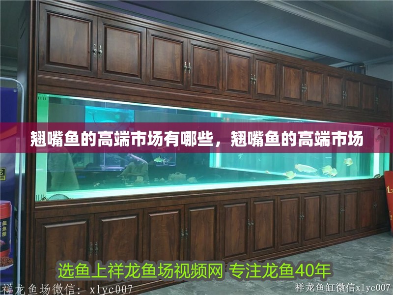 翹嘴魚的高端市場有哪些，翹嘴魚的高端市場 翹嘴魚的高端市場有哪些，翹嘴魚的高端市場 龍魚百科