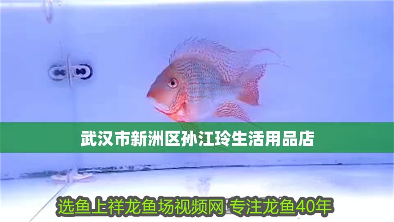 武漢市新洲區孫江玲生活用品店