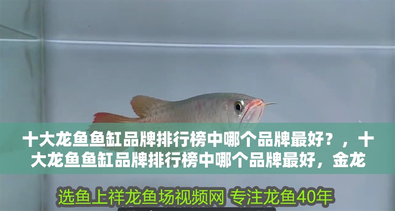 十大龍魚魚缸品牌排行榜中哪個品牌最好？，十大龍魚魚缸品牌排行榜中哪個品牌最好，金龍魚祥龍魚場對比表格 十大龍魚魚缸品牌排行榜中哪個品牌最好？，十大龍魚魚缸品牌排行榜中哪個品牌最好，金龍魚祥龍魚場對比表格 龍魚百科