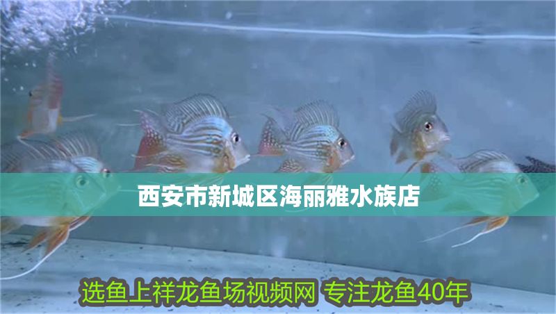 西安市新城區海麗雅水族店 西安市新城區海麗雅水族店 全國水族館企業名錄 第1張