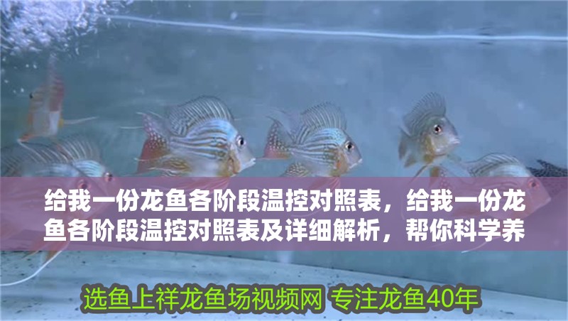 給我一份龍魚各階段溫控對照表，給我一份龍魚各階段溫控對照表及詳細解析，幫你科學養龍 給我一份龍魚各階段溫控對照表，給我一份龍魚各階段溫控對照表及詳細解析，幫你科學養龍 龍魚百科