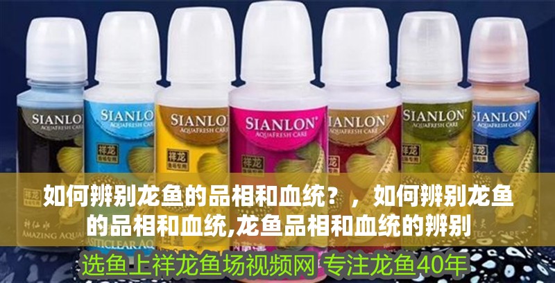 魚缸過濾器選購指南:自制魚缸過濾器魚缸上置過濾器對于養魚愛好者的必備知識 如何辨別龍魚的品相和血統?,如何辨別龍魚的品相和血統,龍魚品相和血統的辨別 龍魚百科 如何辨別龍魚的品相和血統?,如何辨別龍魚的品相和血統,龍魚品相和血統的辨別 如何辨別龍魚的品相和血統?,如何辨別龍魚的品相和血統,龍魚品相和血統的辨別 龍魚百科